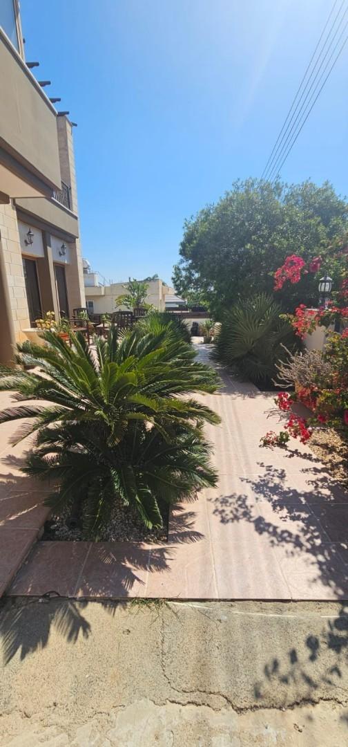 3 Bedroom Detached House For Sale: https://www.zyprus.com/property/39326/3-bedrooms-house-detached-house-in-trachoni-limassol (www.zyprus.com)
