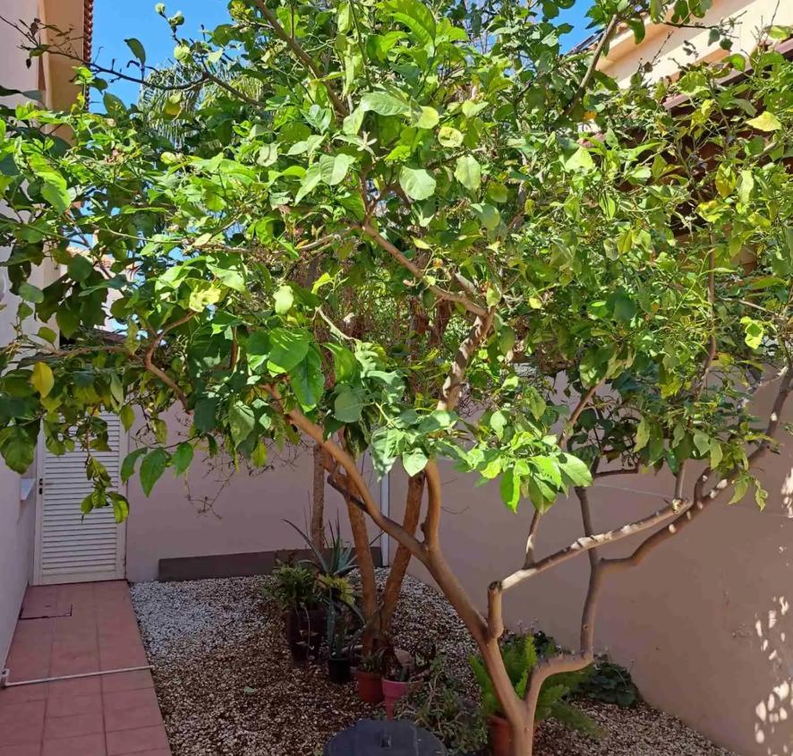 4-bedroom house in Limassol №153459: https://dom.com.cy/en/catalog/rent/153459/ (dom.com.cy)