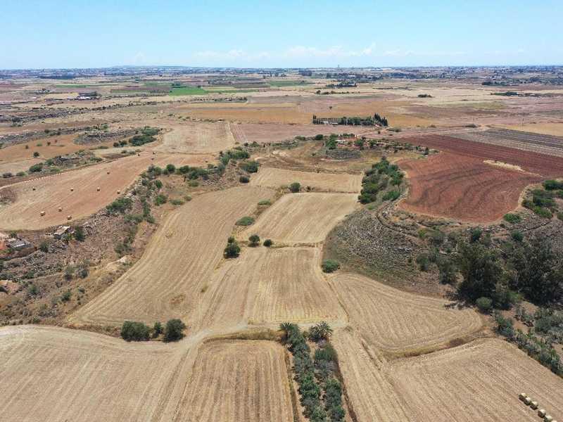 Agricultural land 1645 m²: https://www.bazaraki.com/adv/5757041_agricultural-land-1645-m2 (www.bazaraki.com)