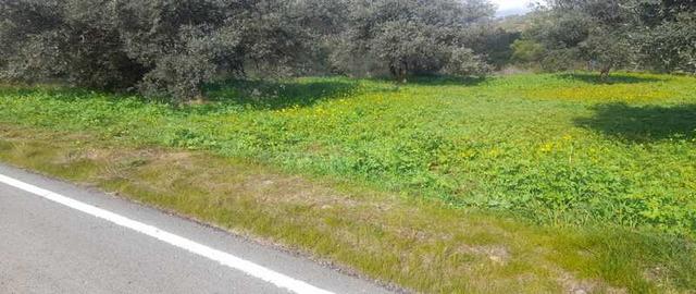 Agricultural land 6021 m²: https://www.bazaraki.com/adv/5795470_agricultural-land-6021-m2 (www.bazaraki.com)