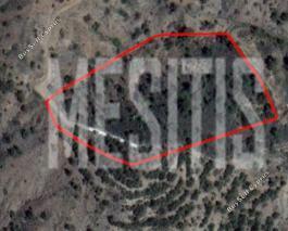 10,257 SQM Plot for sale in Mandria Lemesou, Limassol: https://www.buysellcyprus.com/property-for-sale/limassol/mandria-lemesou/plot-for-sale-mandria-lemesou-limassol-1800509.html (www.buysellcyprus.com)