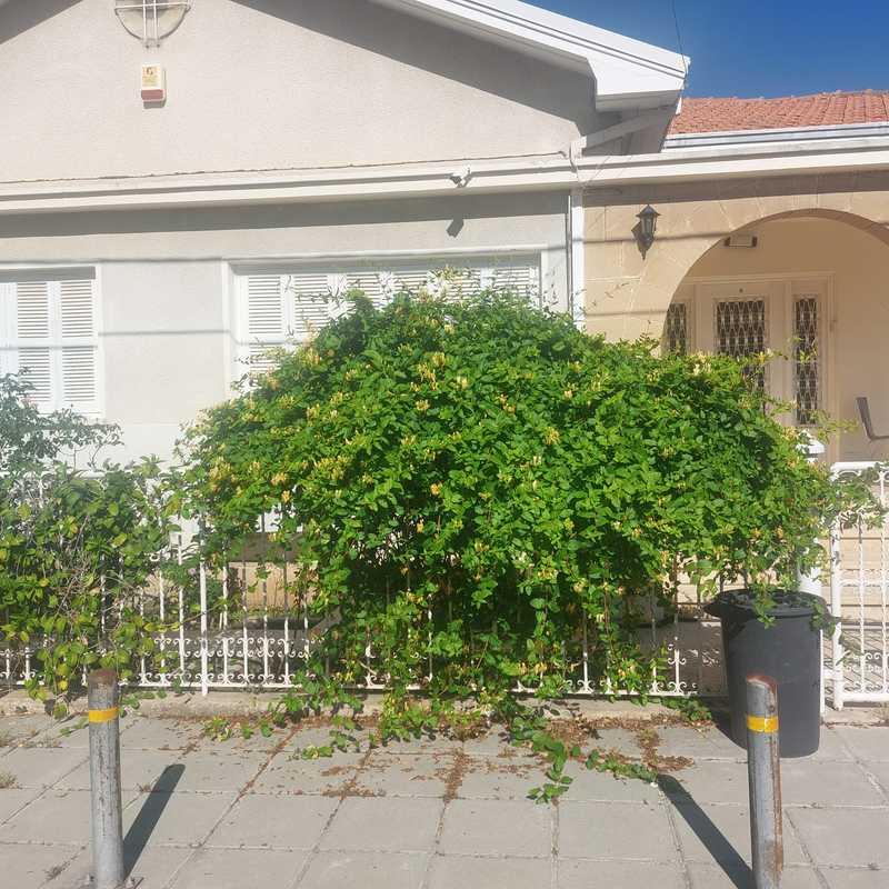 4-bedroom villa for sale: https://www.bazaraki.com/adv/5786941_4-bedroom-villa-for-sale (www.bazaraki.com)