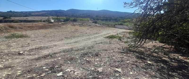 Agricultural land 3218 m²: https://www.bazaraki.com/adv/5795462_agricultural-land-3218-m2 (www.bazaraki.com)