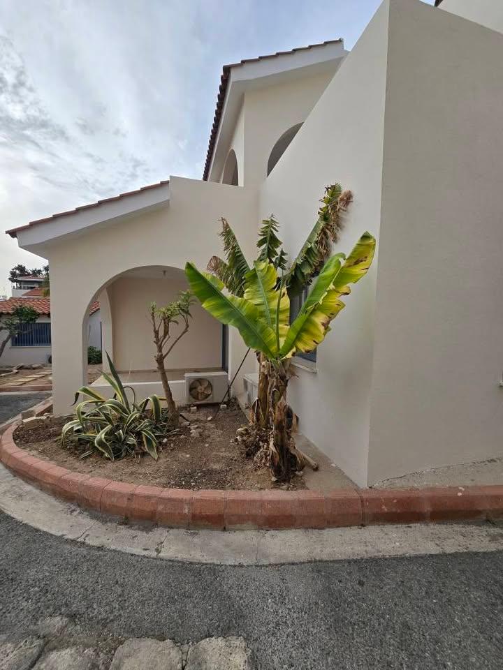 1 Bedroom Apartment in Universal Pafos: https://www.facebook.com/marketplace/item/1042430854488184 (www.facebook.com)