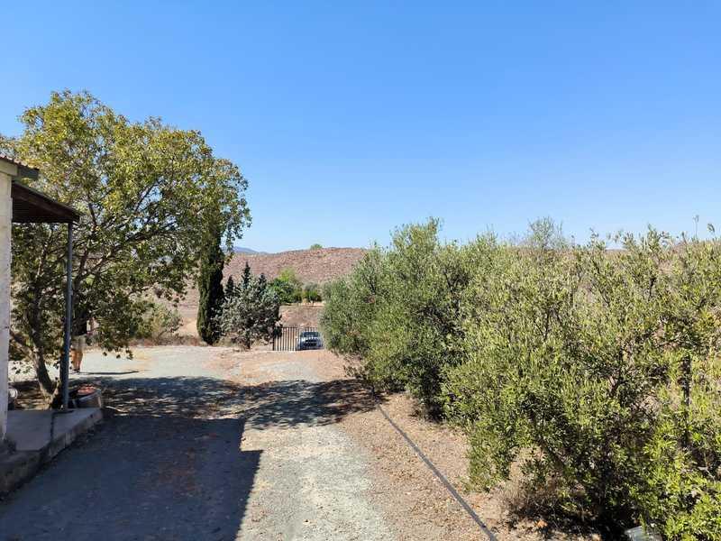 Agricultural land 12000 m²: https://www.bazaraki.com/adv/5795465_agricultural-land-12000-m2 (www.bazaraki.com)