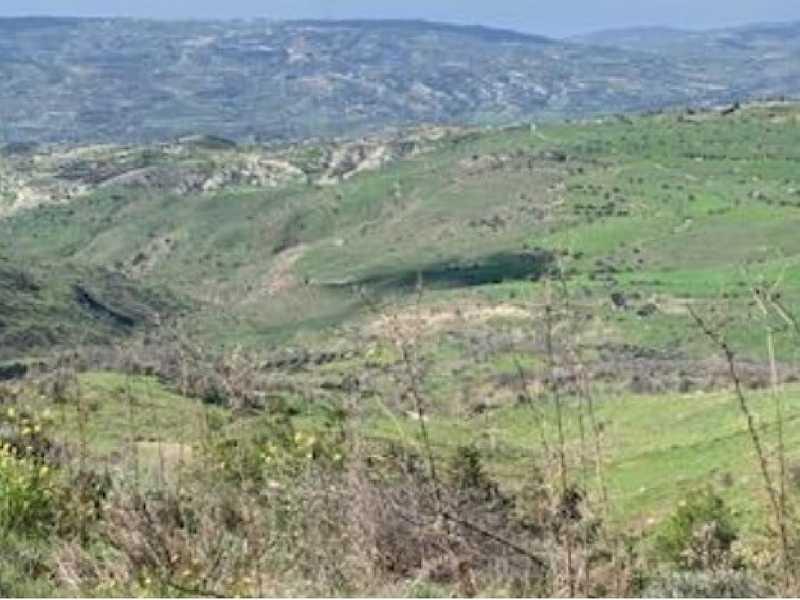Agricultural land 19066 m²: https://www.bazaraki.com/adv/5796527_agricultural-land-19066-m2 (www.bazaraki.com)
