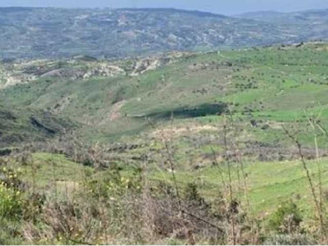 Agricultural land 19066 m²: https://www.bazaraki.com/adv/5796527_agricultural-land-19066-m2 (www.bazaraki.com)