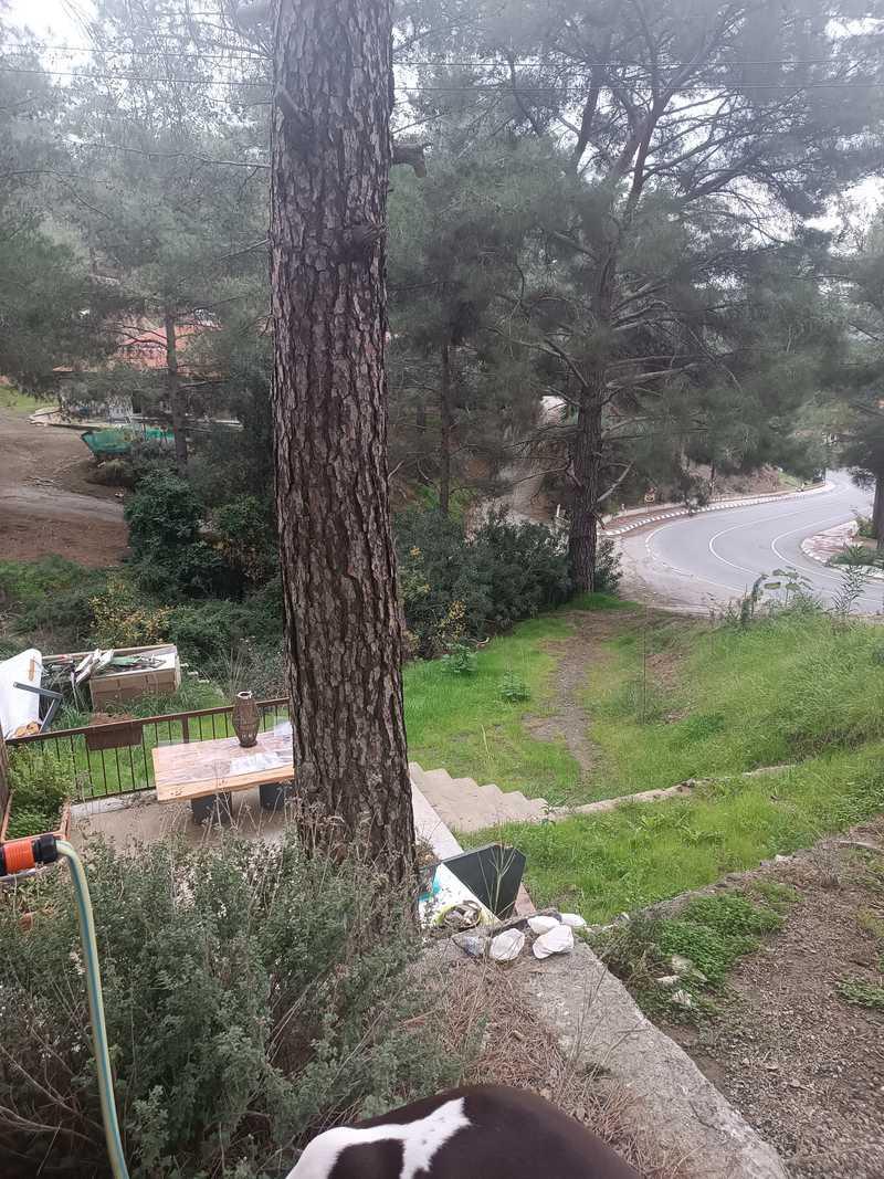 Residential land 1900 m²: https://www.bazaraki.com/adv/5792417_residential-land-1900-m2 (www.bazaraki.com)