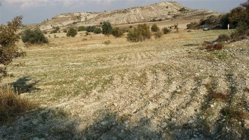 Agricultural land 8299 m²: https://www.bazaraki.com/adv/5793647_agricultural-land-8299-m2 (www.bazaraki.com)