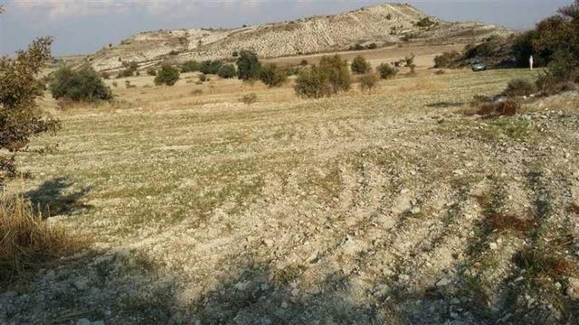 Agricultural land 8299 m²: https://www.bazaraki.com/adv/5793647_agricultural-land-8299-m2 (www.bazaraki.com)