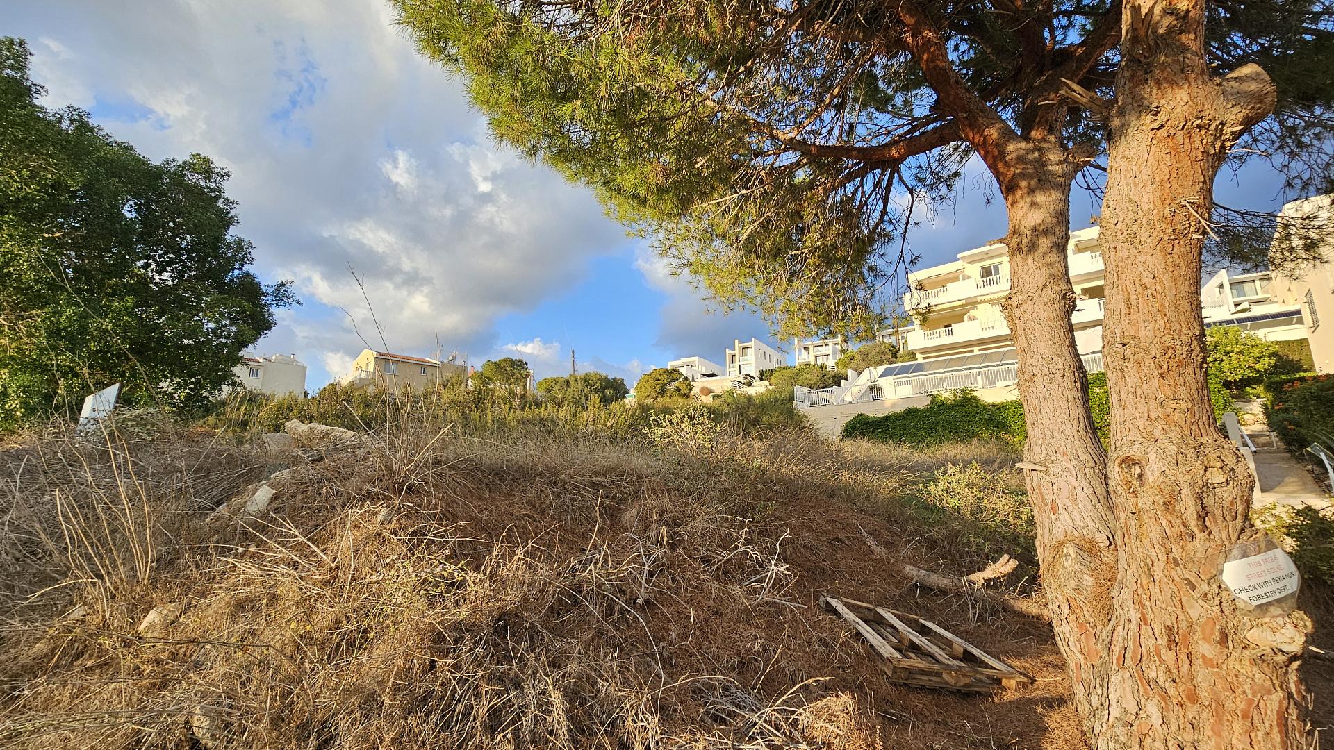 New 4-bedroom villa in Paphos № 136800: https://dom.com.cy/en/catalog/sale/136800/ (dom.com.cy)