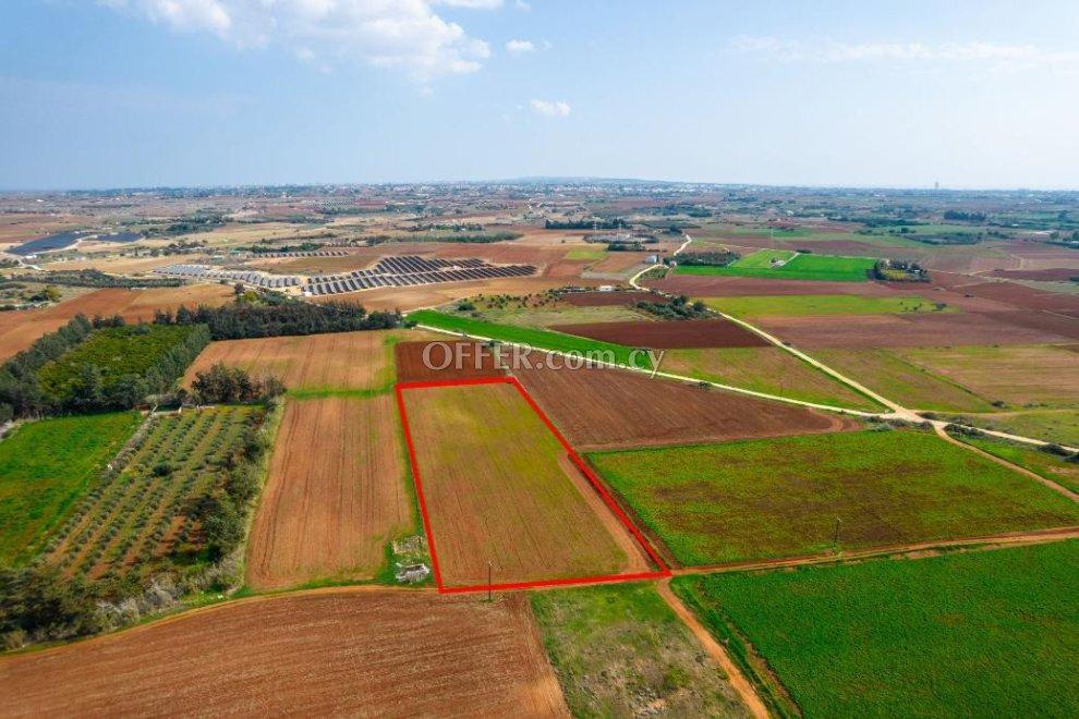 Agricultural field in Frenaros Famagusta: https://www.offer.com.cy/en/agricultural-field-in-frenaros-famagusta/21-709169/ (www.offer.com.cy)