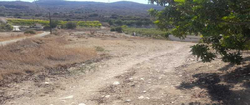 Agricultural land 3218 m²: https://www.bazaraki.com/adv/5795462_agricultural-land-3218-m2 (www.bazaraki.com)