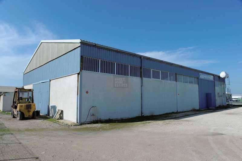 Factory in frenaros industrial area: https://www.bazaraki.com/adv/5791087_factory-in-frenaros-industrial-area (www.bazaraki.com)