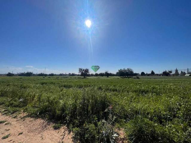 Residential land 2853 m²: https://www.bazaraki.com/adv/5790852_residential-land-2853-m2 (www.bazaraki.com)