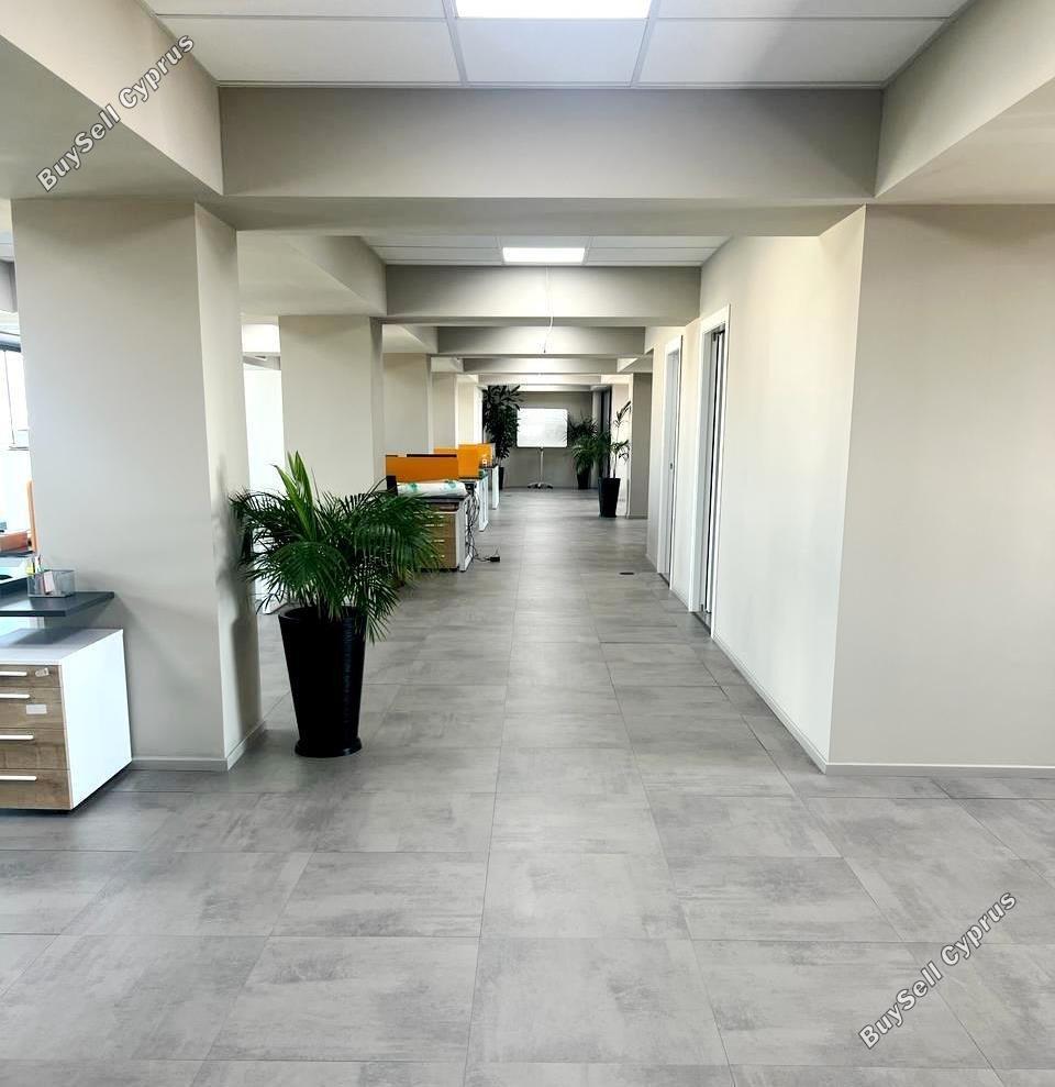 Office to rent in Zakaki, Limassol: https://www.buysellcyprus.com/property-for-rent/limassol/zakaki/office-to-rent-zakaki-limassol-1800309.html (www.buysellcyprus.com)