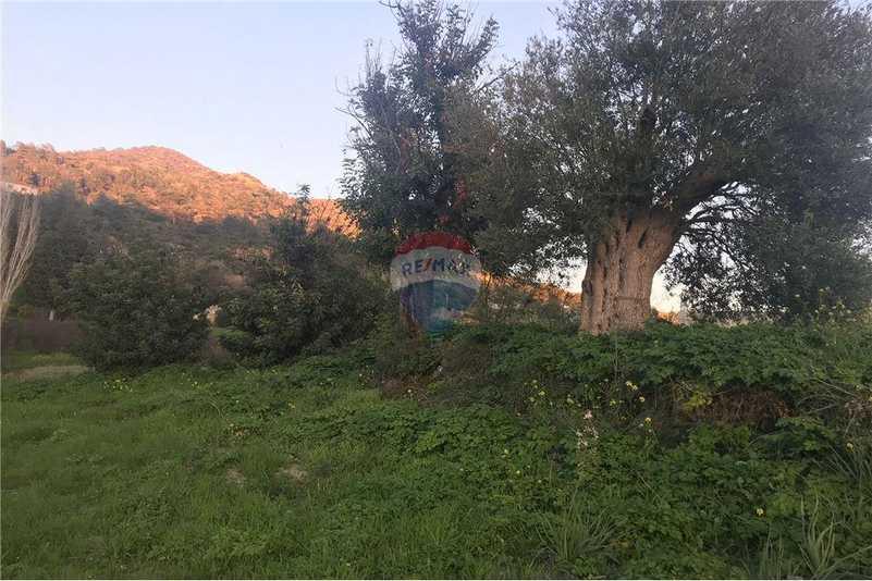 Residential land 1339 m²: https://www.bazaraki.com/adv/5798159_residential-land-1339-m2 (www.bazaraki.com)
