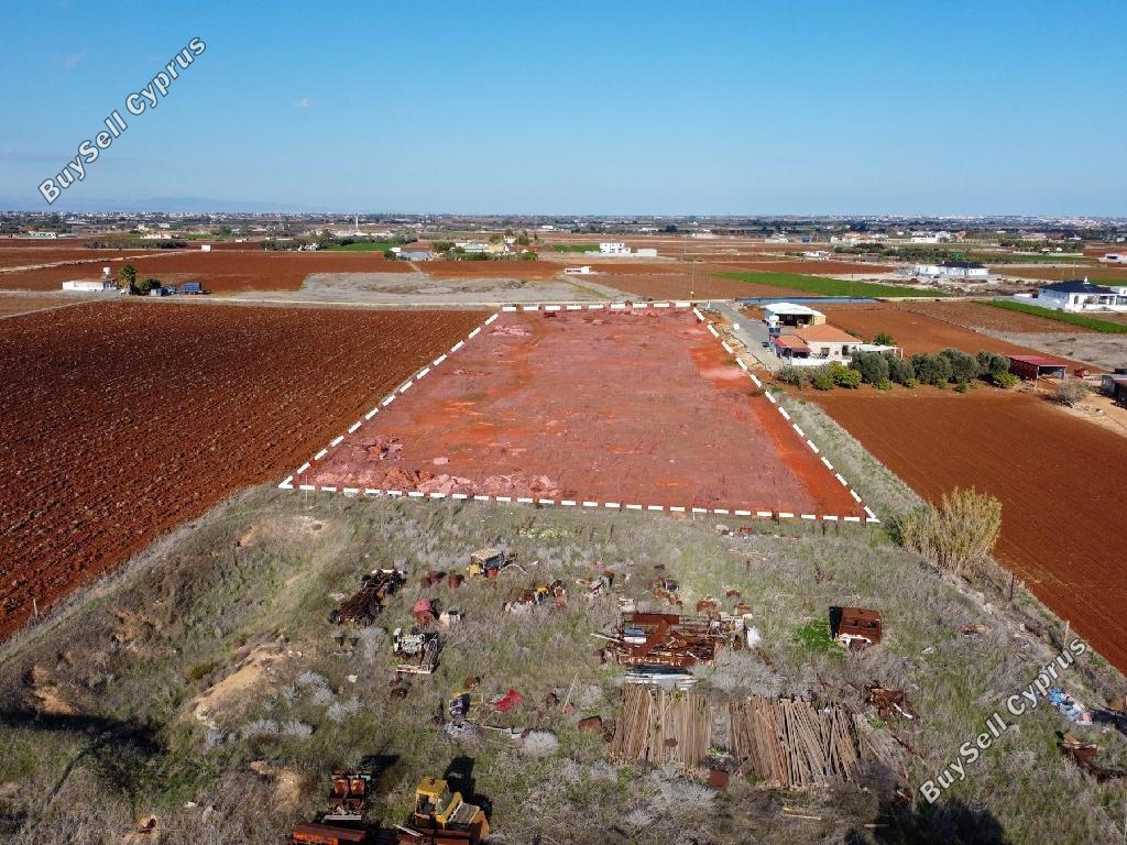 9,330 SQM Land for sale in Xylofagou, Larnaca: https://www.buysellcyprus.com/property-for-sale/larnaca/xylofagou/land-for-sale-xylofagou-larnaca-1795308.html (www.buysellcyprus.com)