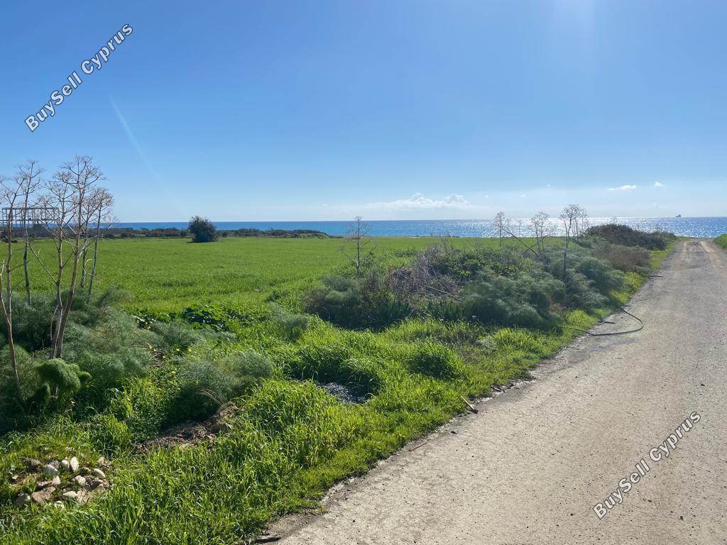 1,543 SQM Land for sale in Zygi, Larnaca: https://www.buysellcyprus.com/property-for-sale/larnaca/zygi/land-for-sale-zygi-larnaca-1792963.html (www.buysellcyprus.com)