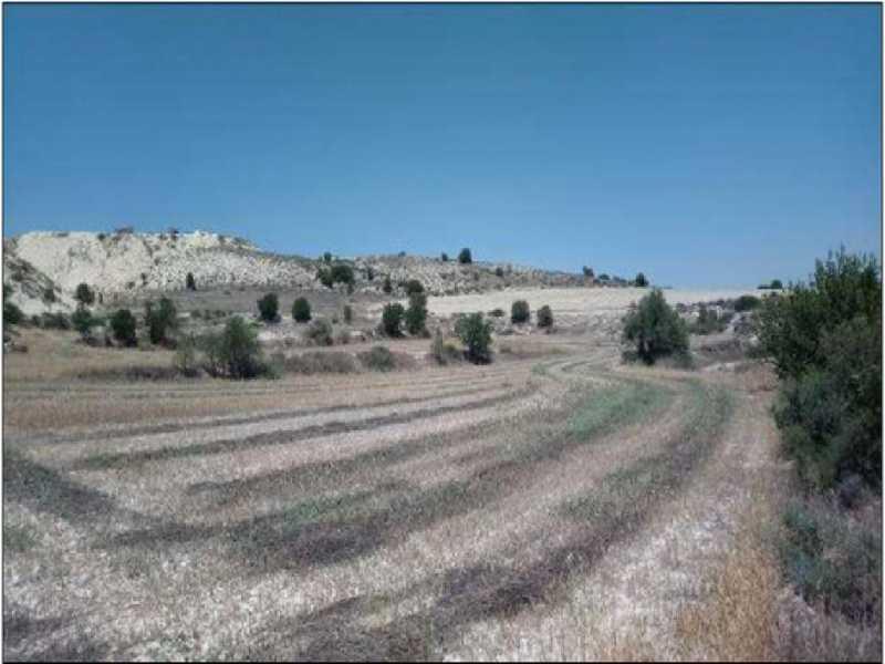 Agricultural land 8299 m²: https://www.bazaraki.com/adv/5793647_agricultural-land-8299-m2 (www.bazaraki.com)
