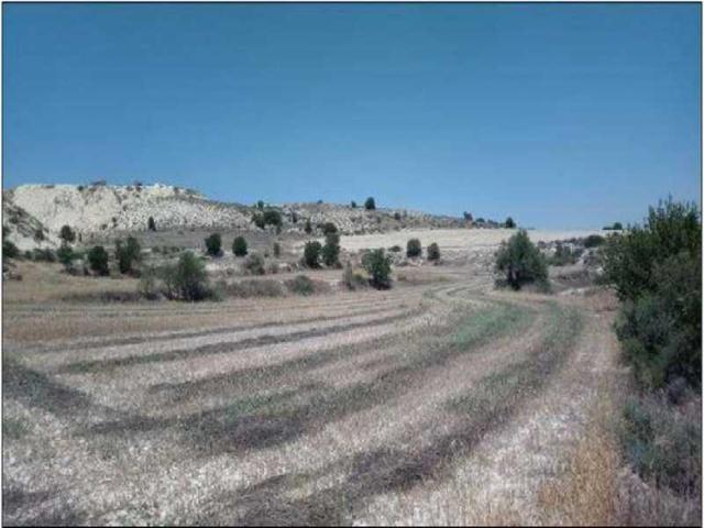 Agricultural land 8299 m²: https://www.bazaraki.com/adv/5793647_agricultural-land-8299-m2 (www.bazaraki.com)