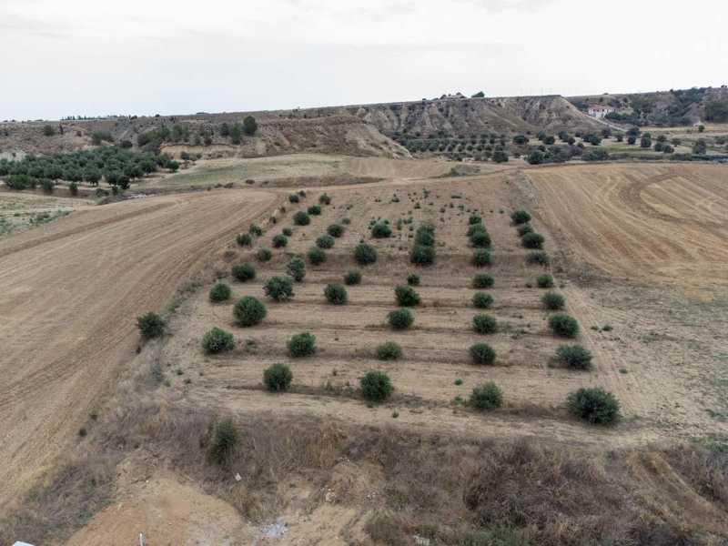 Residential land 3129 m²: https://www.bazaraki.com/adv/5787918_residential-land-3129-m2 (www.bazaraki.com)
