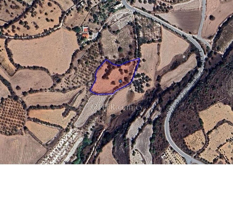 Development Land for sale in Lasa, Paphos: https://www.offer.com.cy/en/development-land-for-sale-in-lasa-paphos/21-816246/ (www.offer.com.cy)