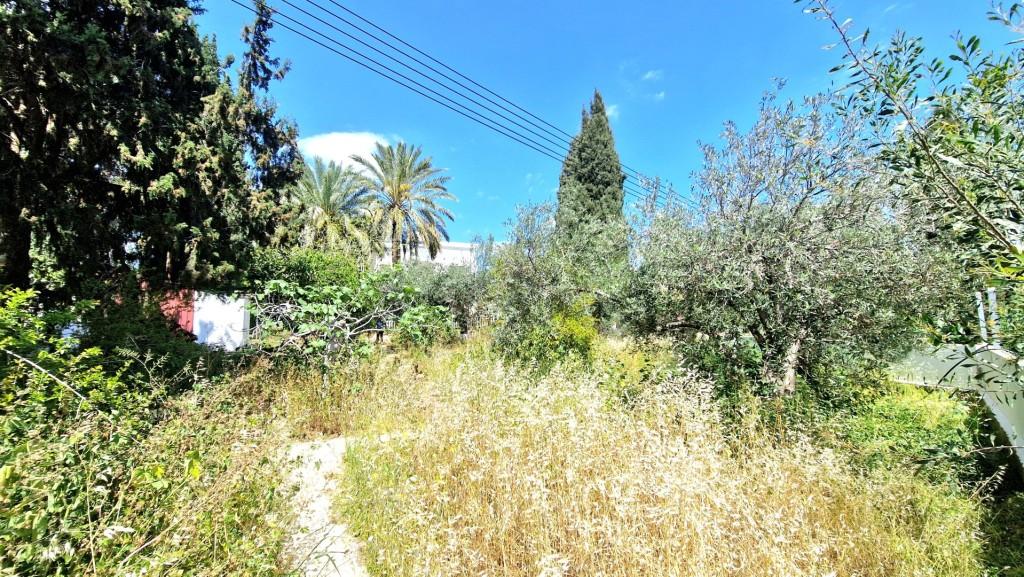 3 Bedroom Detached House For Sale: https://www.zyprus.com/property/39376/3-bedrooms-house-detached-house-in-protaras-famagusta (www.zyprus.com)