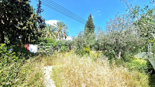3 Bedroom Detached House For Sale: https://www.zyprus.com/property/39376/3-bedrooms-house-detached-house-in-protaras-famagusta (www.zyprus.com)