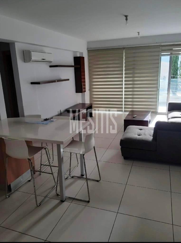 Apartment/Flat For Rent, Lefkosia, Aglantzia (Aglangia): https://incyprusproperty.com/property/mesitis/apartment-flat-for-rent-lefkosia-aglantzia-aglangia-18/ (incyprusproperty.com)