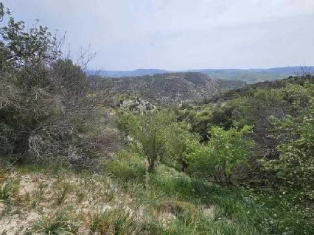 Agricultural land 22074 m²: https://www.bazaraki.com/adv/5798399_agricultural-land-22074-m2 (www.bazaraki.com)