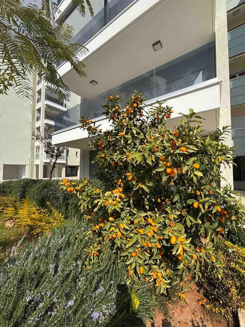 4-bedroom apartment for sale: https://www.bazaraki.com/adv/5791231_4-bedroom-apartment-for-sale (www.bazaraki.com)