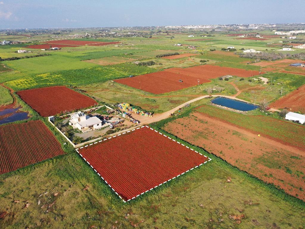 Residential Land 2,749 SQM For Sale: https://www.zyprus.com/land/39396/residential-land-in-liopetri-famagusta (www.zyprus.com)