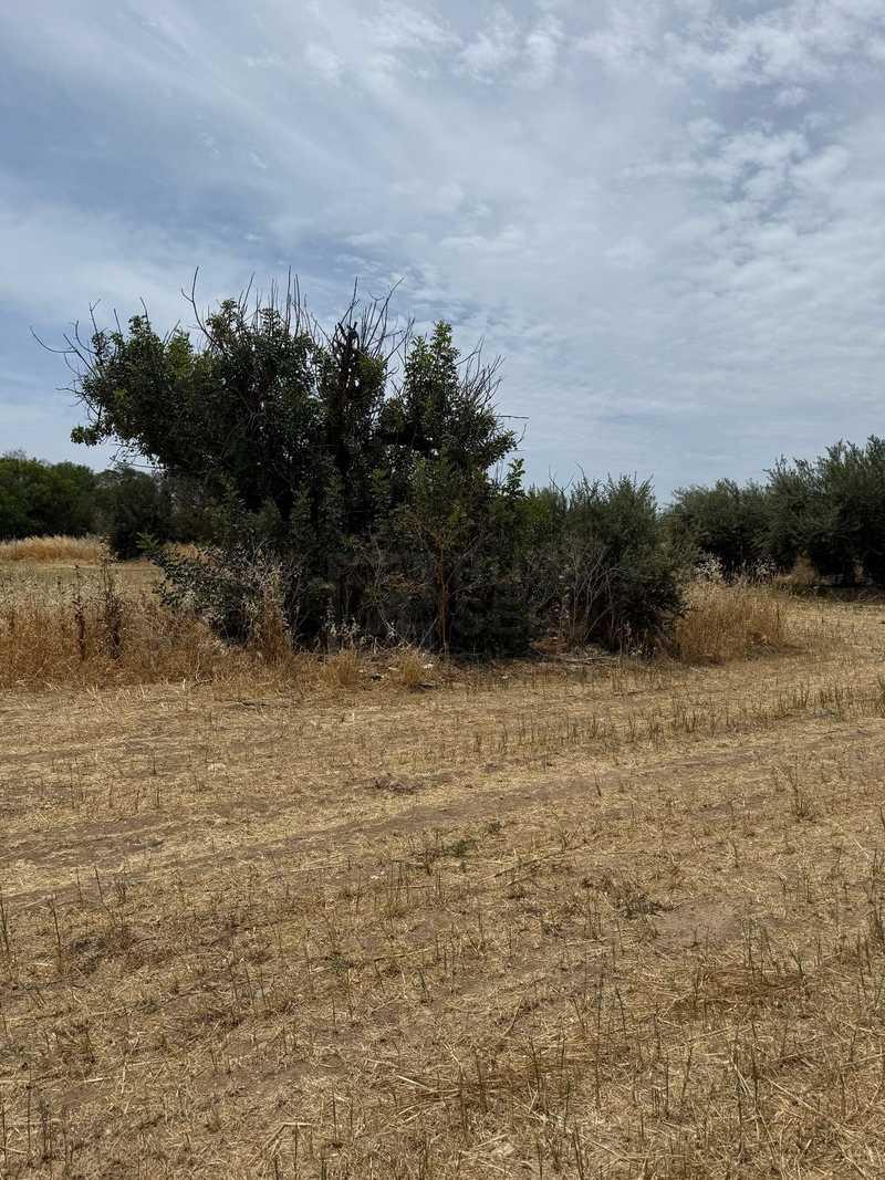 Residential land 2669 m²: https://www.bazaraki.com/adv/5796999_residential-land-2669-m2 (www.bazaraki.com)