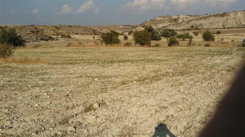 Agricultural land 8299 m²: https://www.bazaraki.com/adv/5793647_agricultural-land-8299-m2 (www.bazaraki.com)