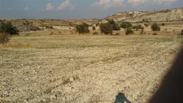 Agricultural land 8299 m²: https://www.bazaraki.com/adv/5793647_agricultural-land-8299-m2 (www.bazaraki.com)