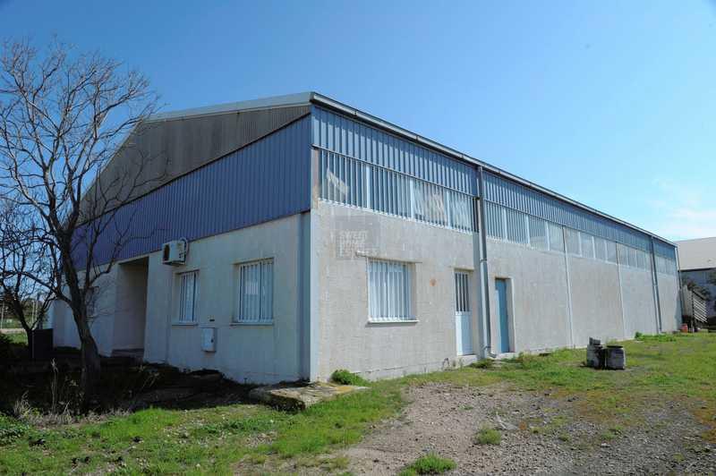 Factory in frenaros industrial area: https://www.bazaraki.com/adv/5791087_factory-in-frenaros-industrial-area (www.bazaraki.com)
