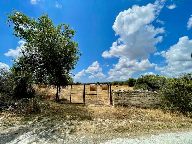 Agricultural land 10703 m²: https://www.bazaraki.com/adv/5786923_agricultural-land-10703-m2 (www.bazaraki.com)
