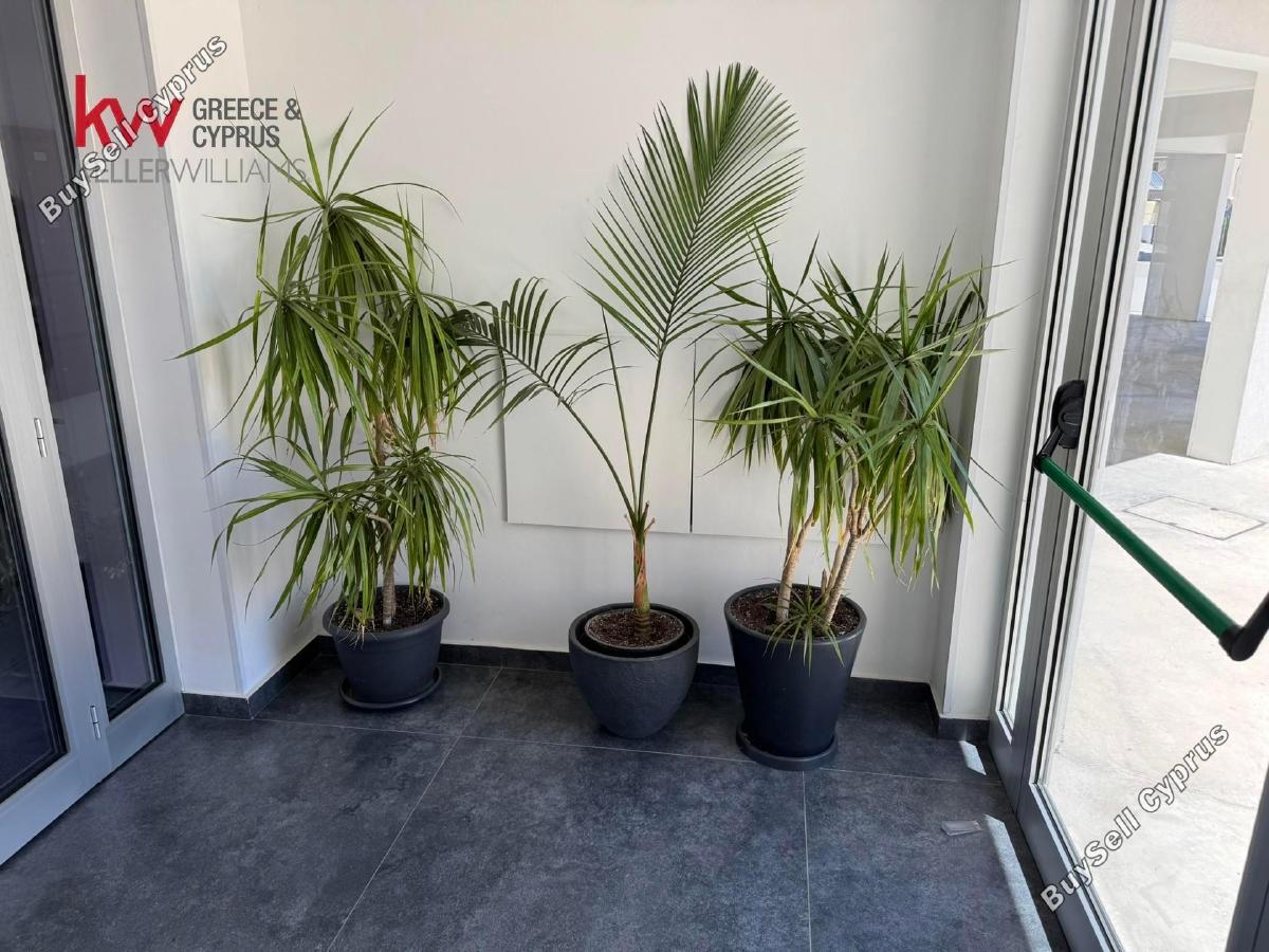 2 Bedroom Penthouse to rent in Sotiros Agios Ioannis Larnaca, Larnaca: https://www.buysellcyprus.com/property-for-rent/larnaca/sotiros-agios-ioannis-larnaca/2-bed-penthouse-to-rent-sotiros-agios-ioannis-larnaca-larnaca-1800368.html (www.buysellcyprus.com)