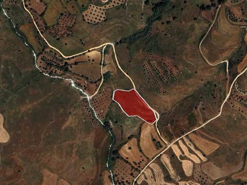 Agricultural land 7498 m²: https://www.bazaraki.com/adv/5796529_agricultural-land-7498-m2 (www.bazaraki.com)