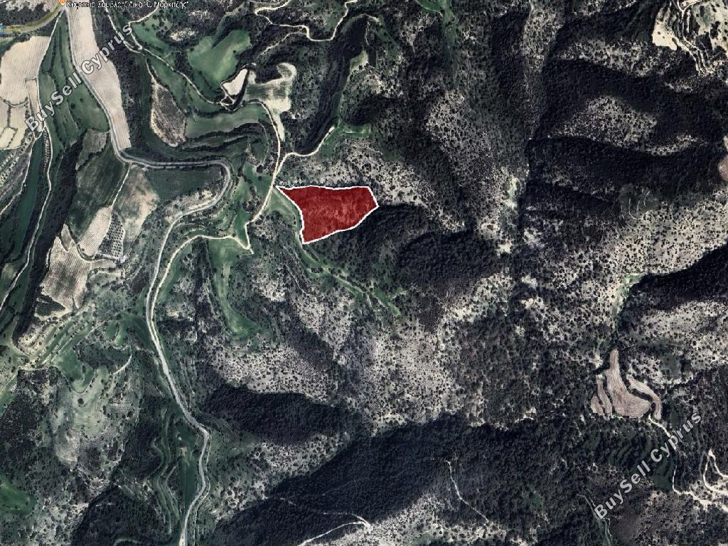 22,074 SQM Agricultural Land for sale in Eledio, Paphos: https://www.buysellcyprus.com/property-for-sale/paphos/eledio/land-for-sale-eledio-paphos-1800856.html (www.buysellcyprus.com)