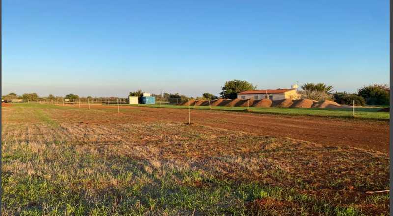 Residential land 632 m²: https://www.bazaraki.com/adv/5792274_residential-land-632-m2 (www.bazaraki.com)