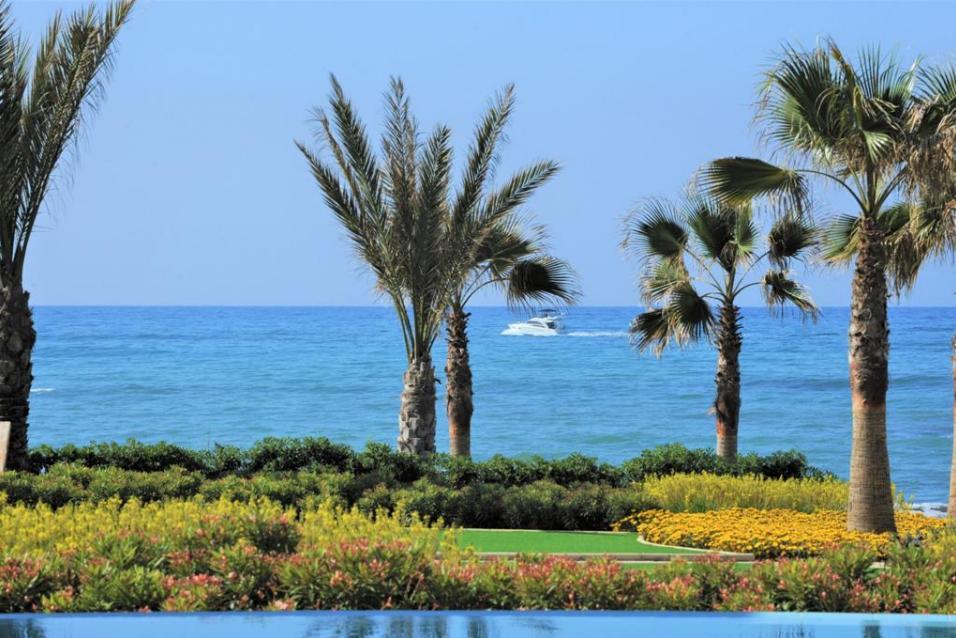 New commercial in Larnaca № 153374: https://dom.com.cy/en/catalog/sale/153374/ (dom.com.cy)