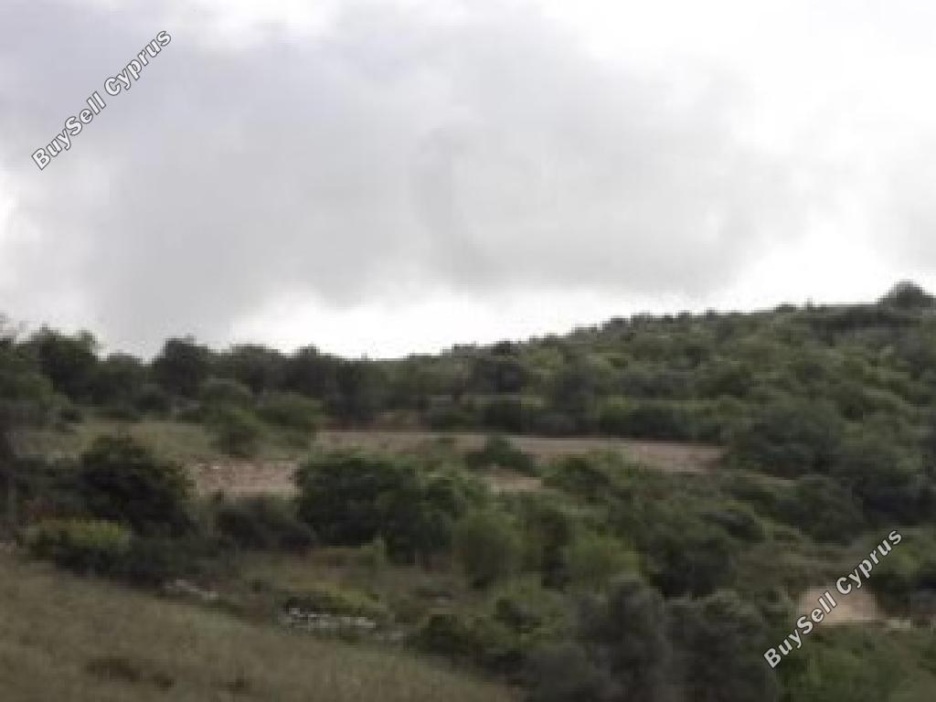 13,713 SQM Agricultural Land for sale in Ineia, Paphos: https://www.buysellcyprus.com/property-for-sale/paphos/ineia/land-for-sale-ineia-paphos-1800858.html (www.buysellcyprus.com)