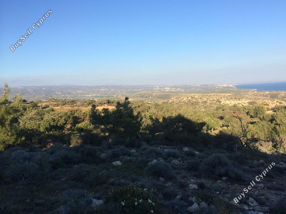 55,854 SQM Land for sale in Pissouri, Limassol: https://www.buysellcyprus.com/property-for-sale/limassol/pissouri/land-for-sale-pissouri-limassol-1800033.html (www.buysellcyprus.com)