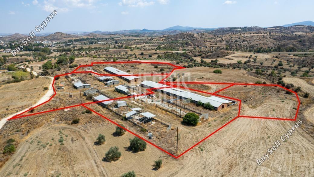 37,460 SQM Land for sale in Analiontas, Nicosia: https://www.buysellcyprus.com/property-for-sale/nicosia/analiontas/land-for-sale-analiontas-nicosia-1796817.html (www.buysellcyprus.com)