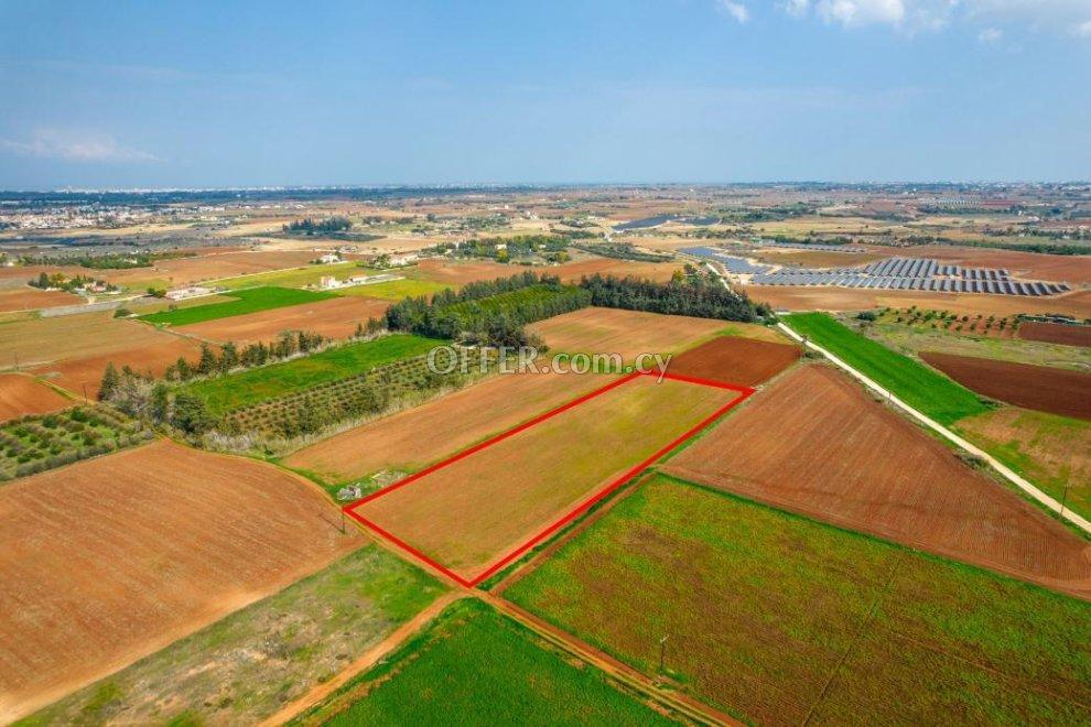 Agricultural field in Frenaros Famagusta: https://www.offer.com.cy/en/agricultural-field-in-frenaros-famagusta/21-709169/ (www.offer.com.cy)