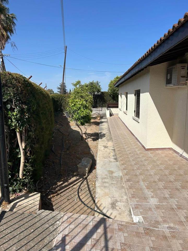 Bungalow for rent: https://www.facebook.com/marketplace/item/1003925698604558 (www.facebook.com)
