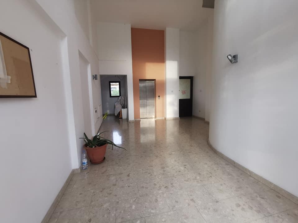 1-Bedroom Apartment in Makedonitissa - 6% ROI: https://www.facebook.com/marketplace/item/542448615603107 (www.facebook.com)