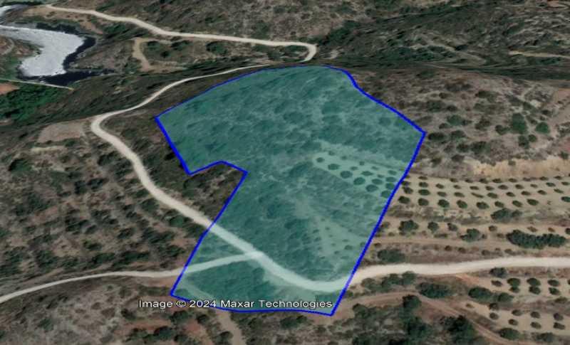 Agricultural land 10703 m²: https://www.bazaraki.com/adv/5795467_agricultural-land-10703-m2 (www.bazaraki.com)